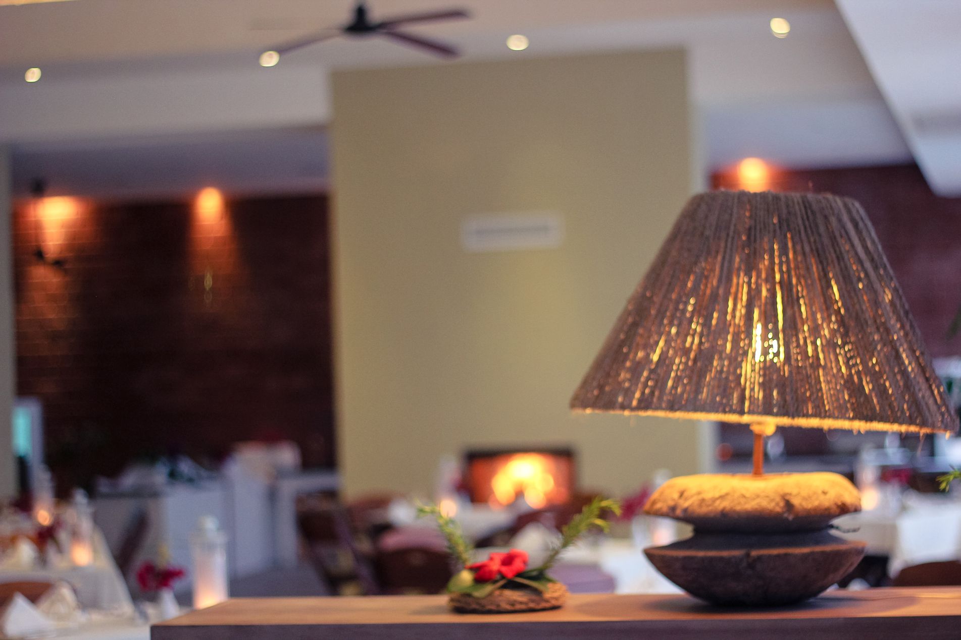 Galerie Photos de Jardins de Toumana Djerba