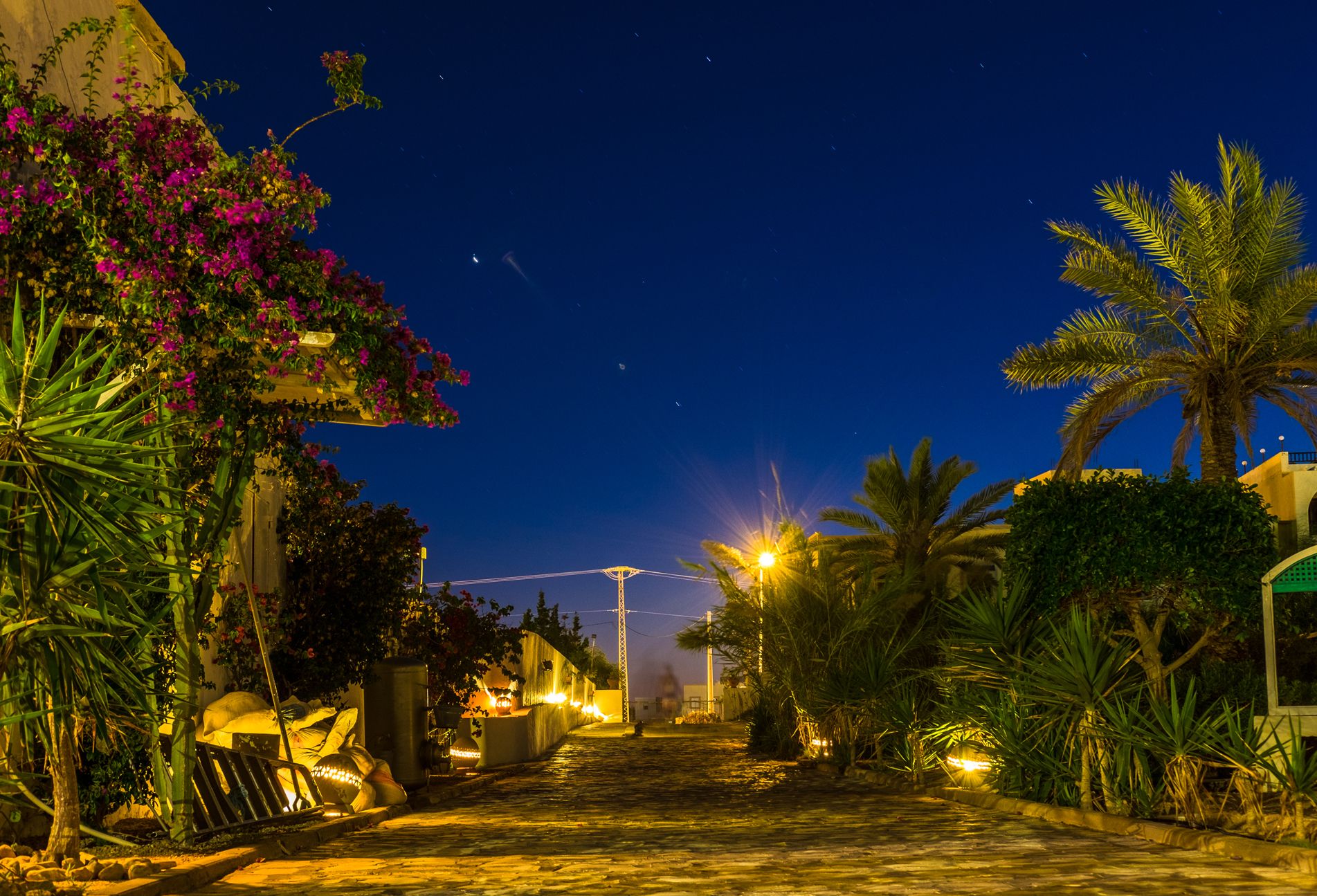 Galerie Photos de Jardins de Toumana Djerba